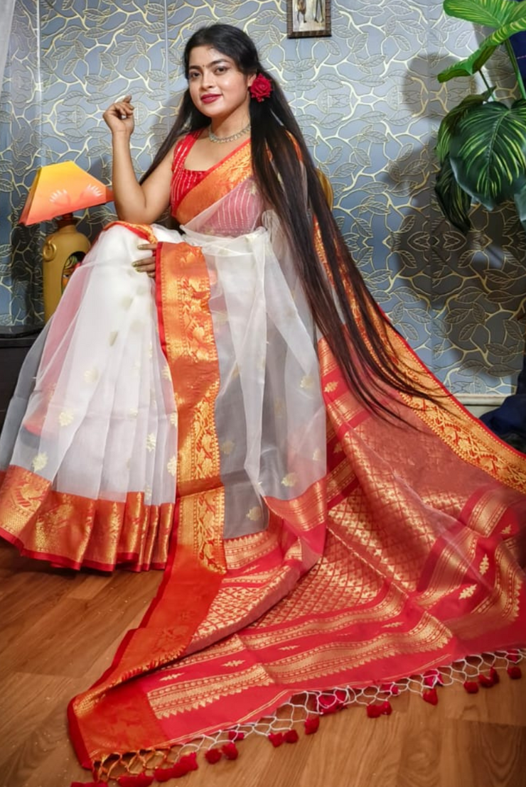 Abhavya (SAREE)